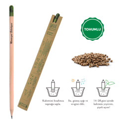 569 Ahşap Tohumlu Naturel Kurşun Kalem - 