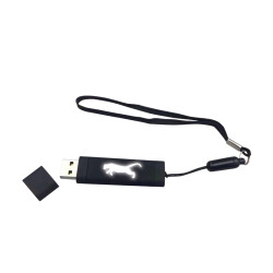 F-200-32 Siyah - Beyaz Işık Kutulu Işıklı Usb - 