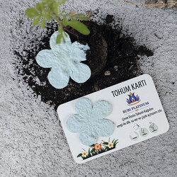 Küçük Tohum Kartı - 